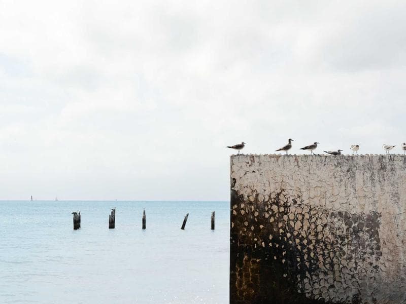 Amazing Destination 11 tour cover image