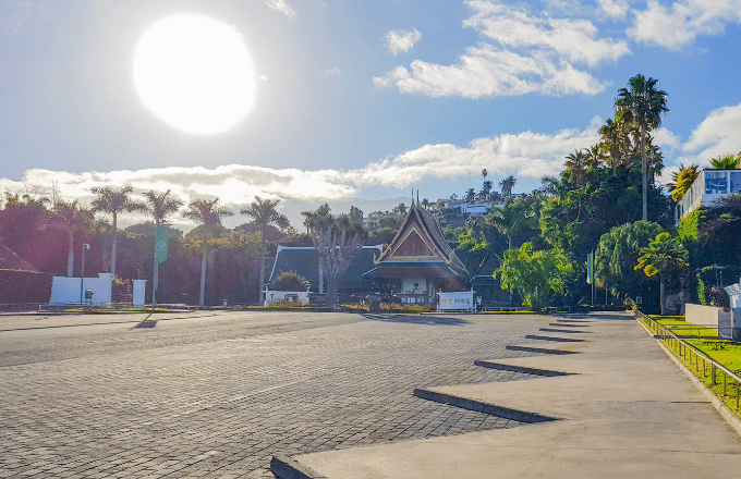 Loro Parque Tickets – Wildlife Experience tour cover image