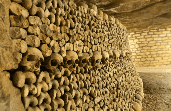 Catacombs of Paris Tickets – Skip the Line Entry tour cover image