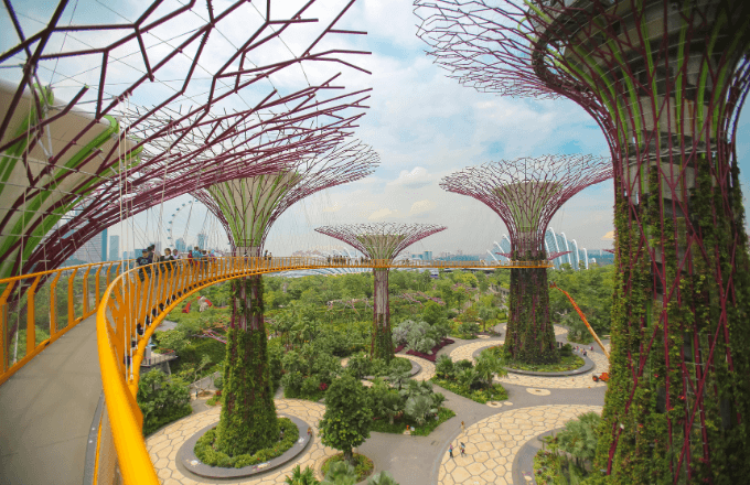Gardens by the Bay Tickets – Cloud Forest & Dome tour cover image