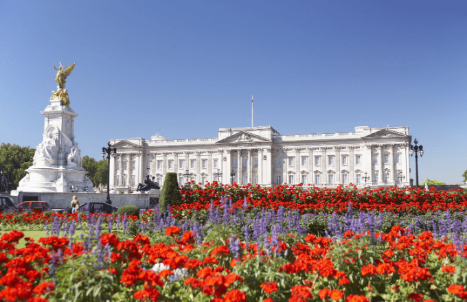 Buckingham Palace Tickets – State Rooms Entry tour cover image