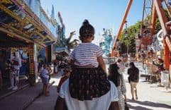 Amusement Parks category image